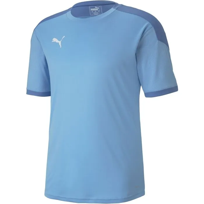 Puma TEAM FINAL 21 TRAINING JERSEY