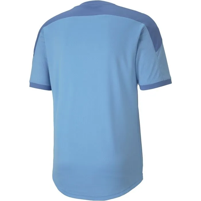 Puma TEAM FINAL 21 TRAINING JERSEY