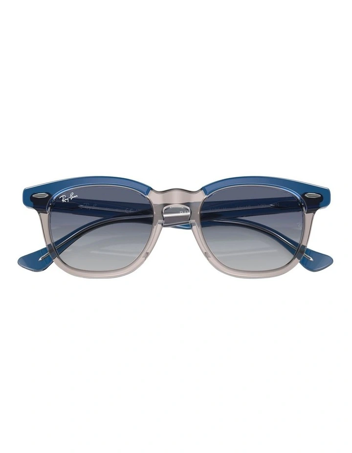 RB9098S Sunglasses in Blue