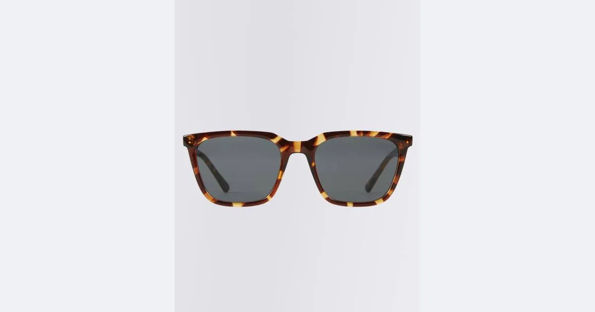 Sunglasses Komono Jay