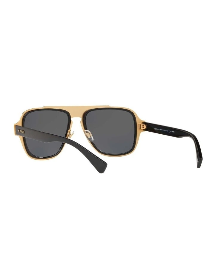 VE2199 Black Polarised Sunglasses